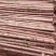 杉木杆，绿化杆正宗福建的