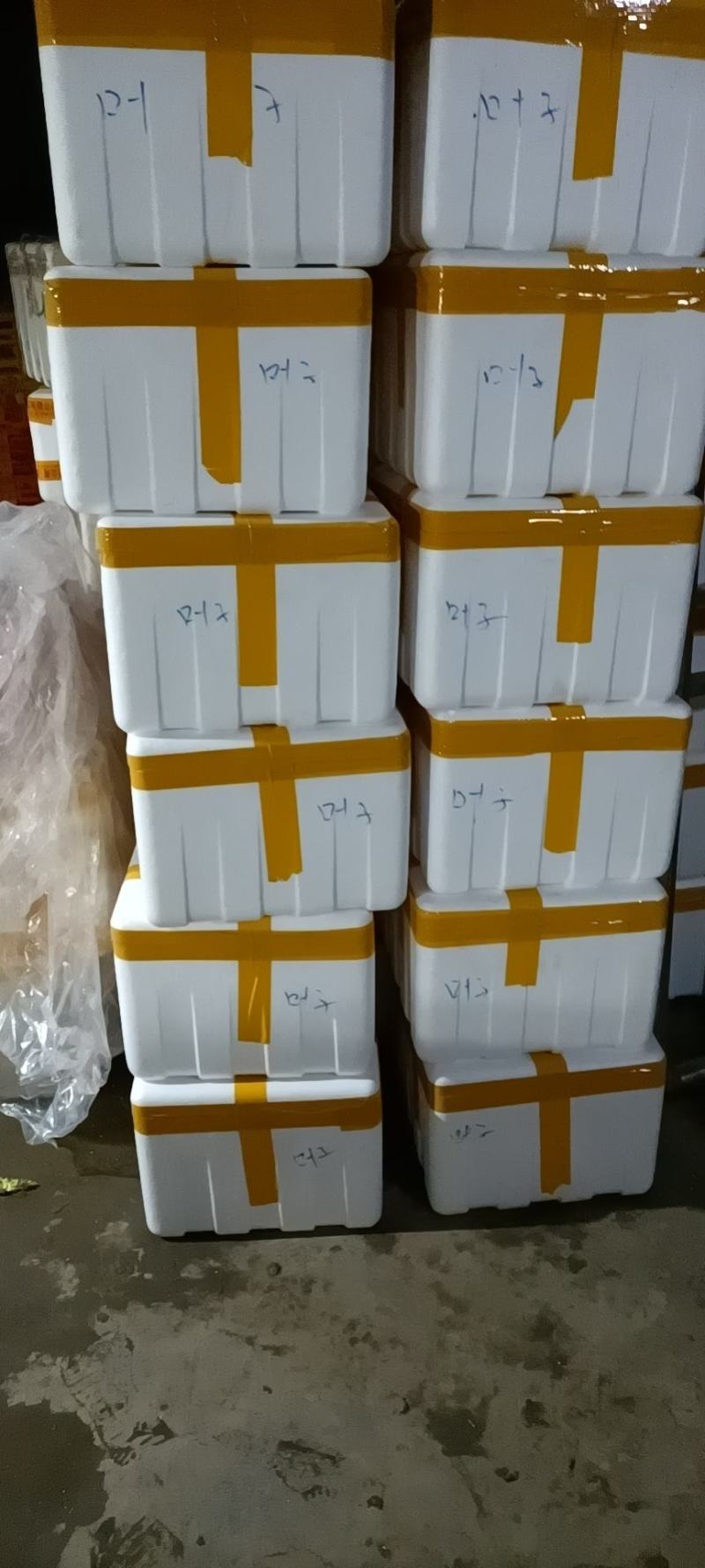 四川特菜精品儿菜北京货