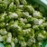 四川特菜精品儿菜北京货