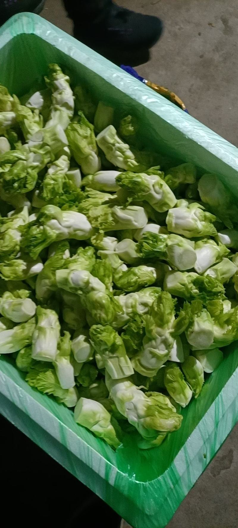 四川特菜精品儿菜北京货