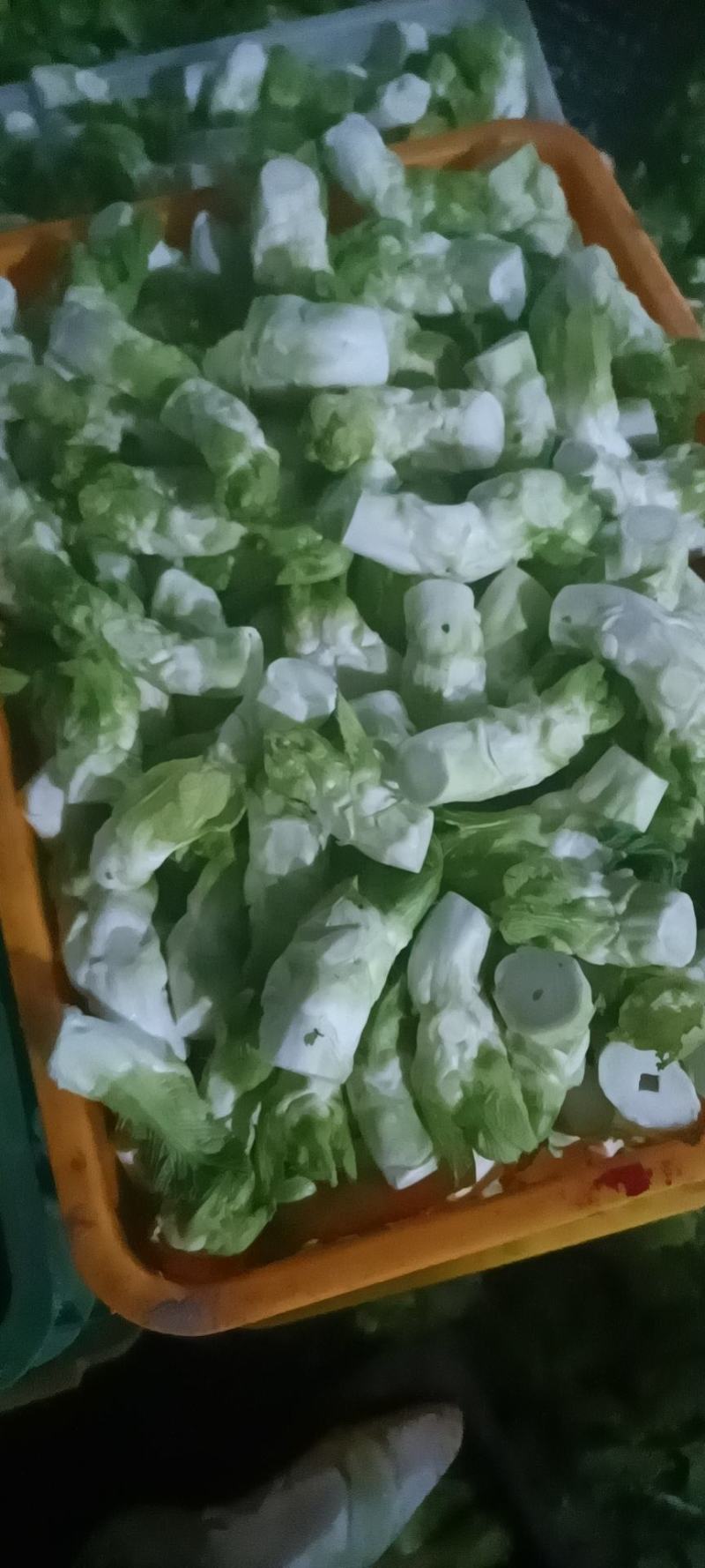四川特菜精品儿菜北京货