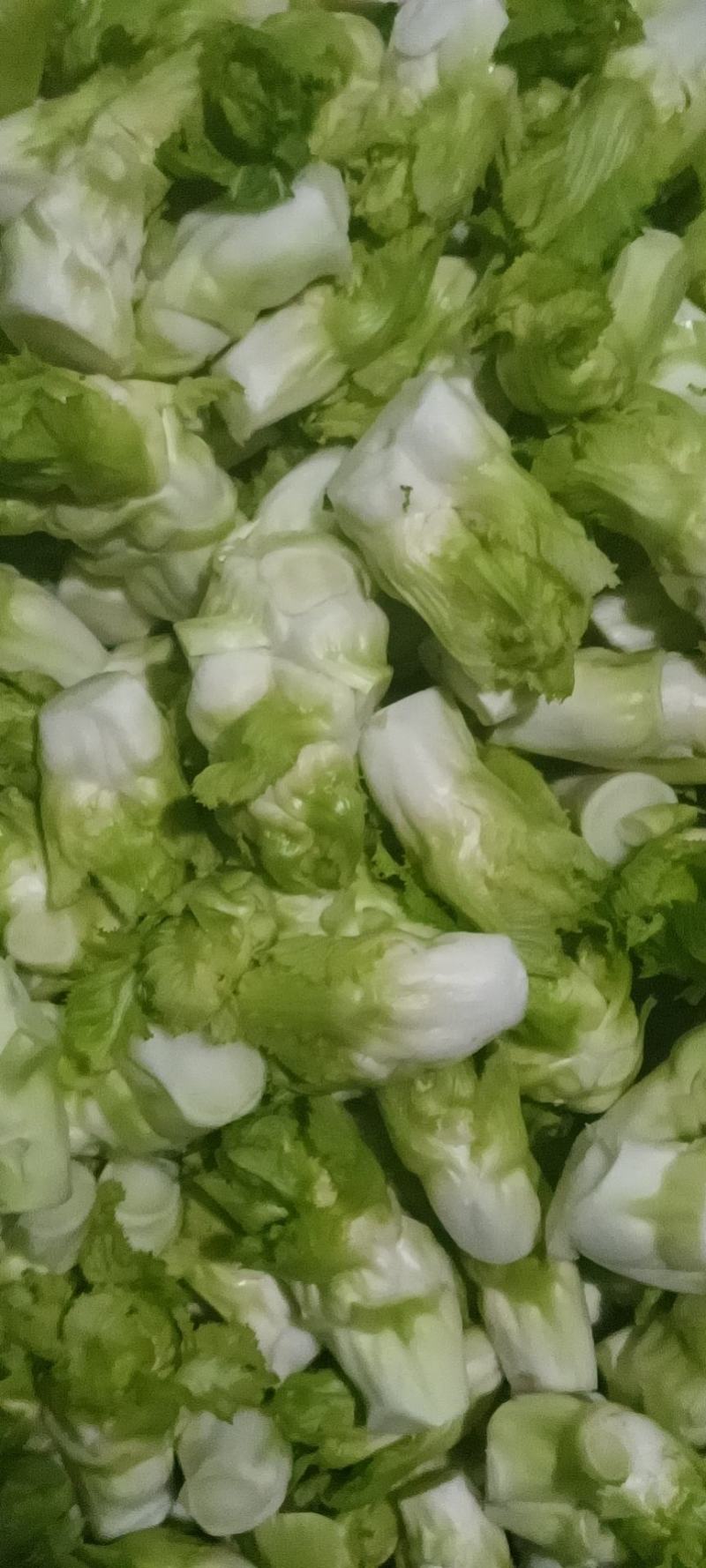 四川特菜精品儿菜北京货