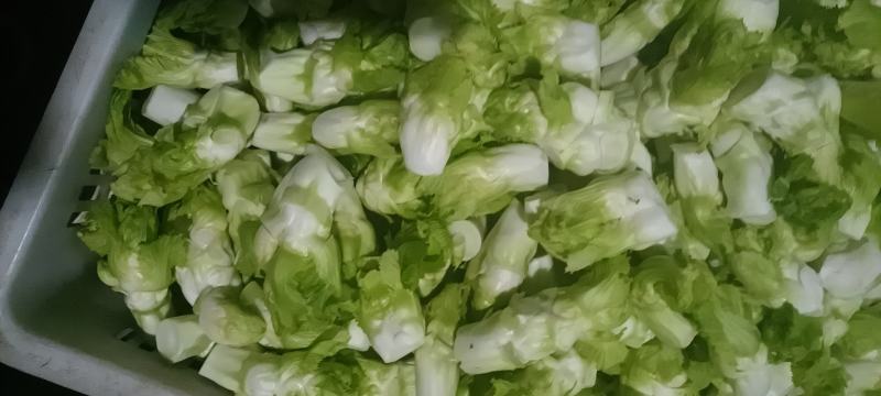 四川特菜精品儿菜北京货