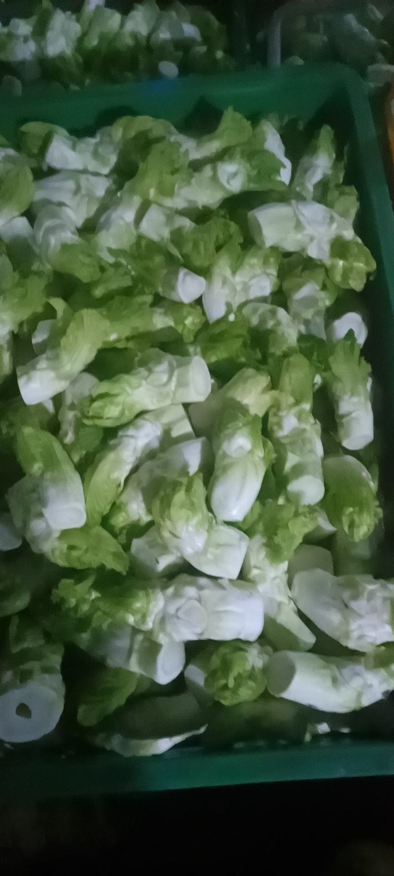 四川特菜精品儿菜北京货