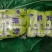 产地直销娃娃菜，大娃菜颜色鲜，质量好，个头均衡，发货全国