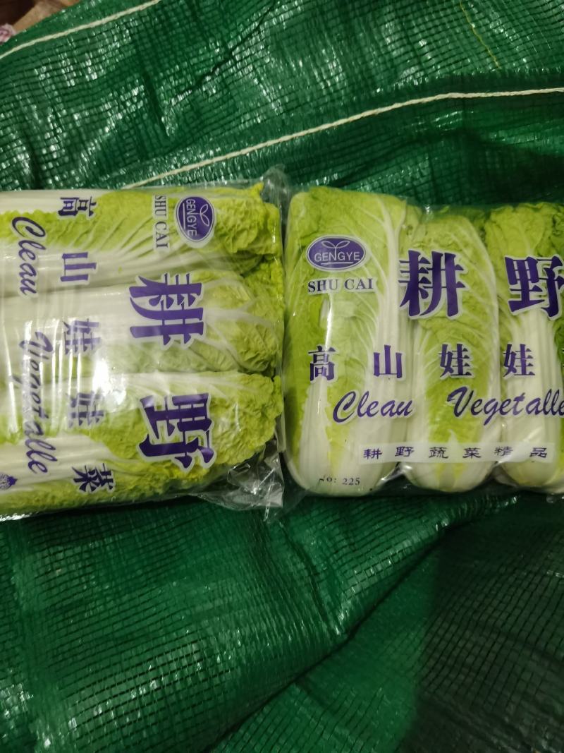 产地直销娃娃菜，大娃菜颜色鲜，质量好，个头均衡，发货全国