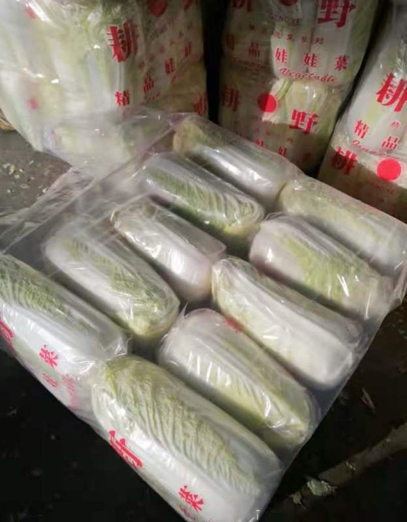 产地直销娃娃菜，大娃菜颜色鲜，质量好，个头均衡，发货全国