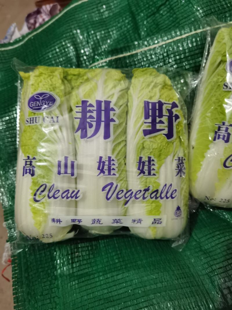 产地直销娃娃菜，大娃菜颜色鲜，质量好，个头均衡，发货全国