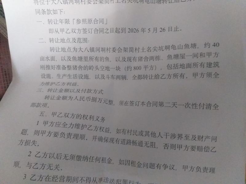 大八河垌四十亩鱼塘转让
