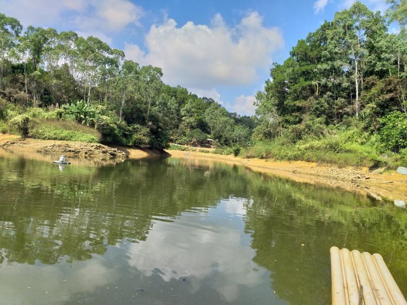 大八河垌四十亩鱼塘转让