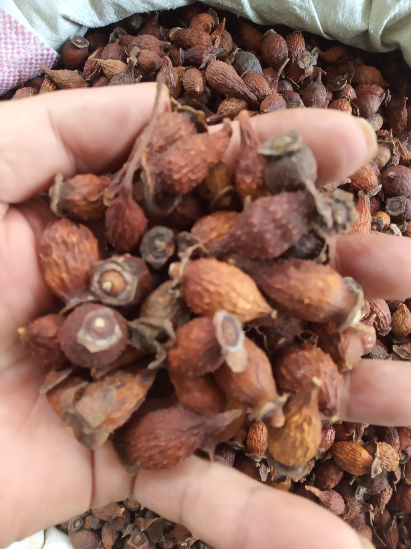 金樱子，干货，新鲜，干净，产地直供