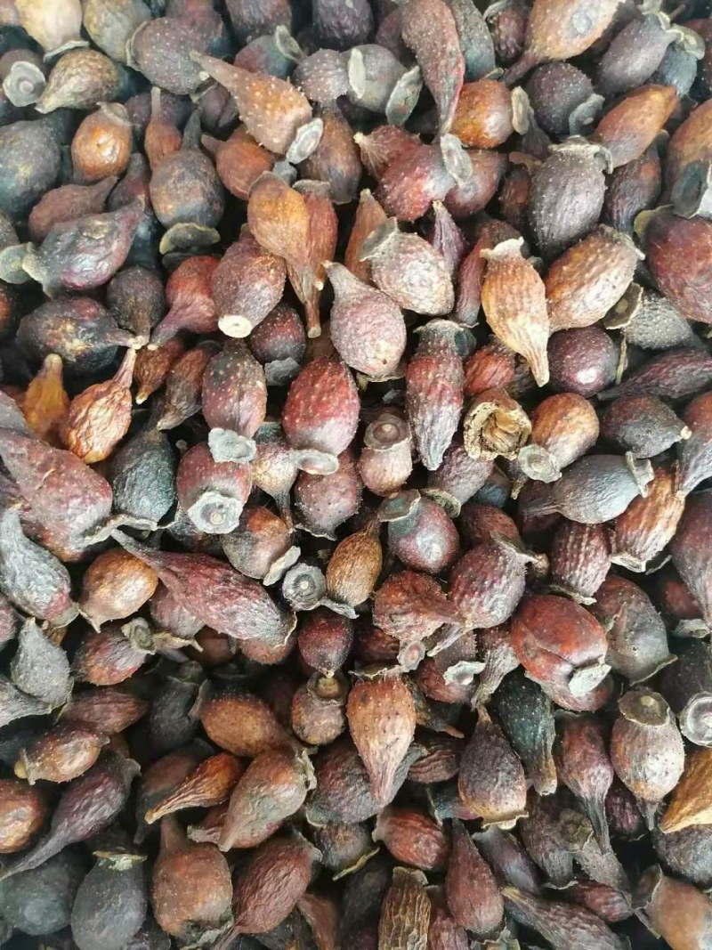 金樱子，干货，新鲜，干净，产地直供