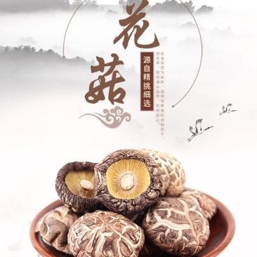 原始森林秦岭太白山花菇香菇一件代发