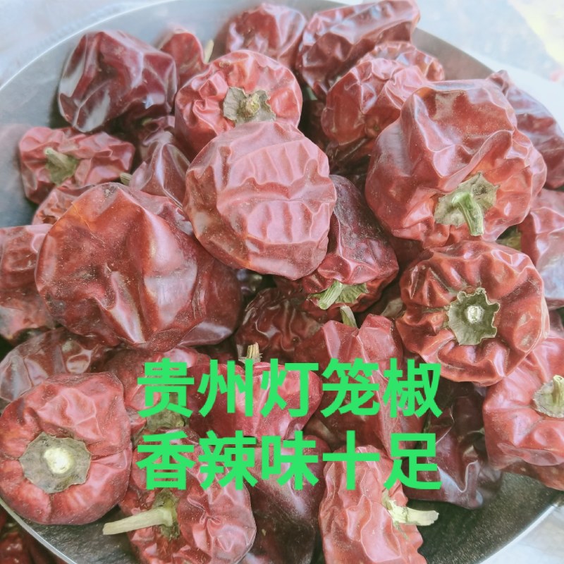 贵州灯笼椒香辣辣椒火锅牛肉面香辣辣椒