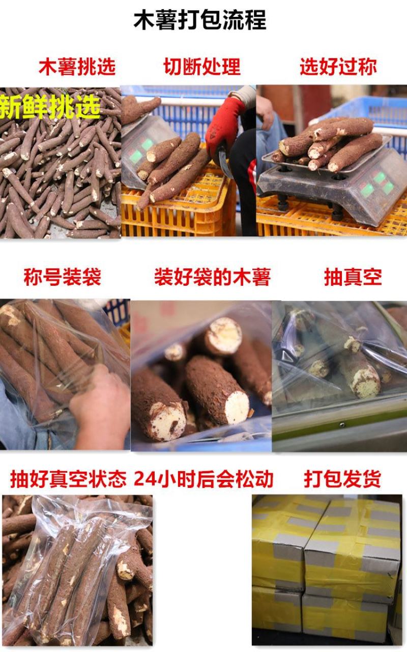 广西特产新鲜黄心木薯粉香糯板栗木薯黄肉木薯面包木薯