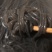 酸辣蕨根粉丝凉拌菜火锅野生蕨根粉正宗手工粉条