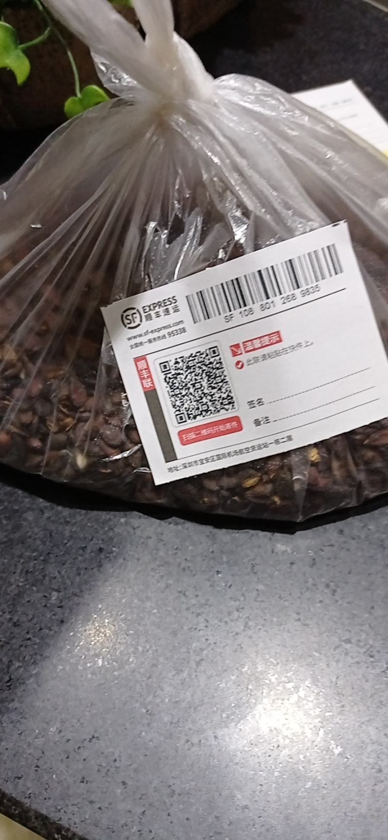 杜梨种子，梨种子，棠梨种子，种子，安徽山东河南酥梨树种子