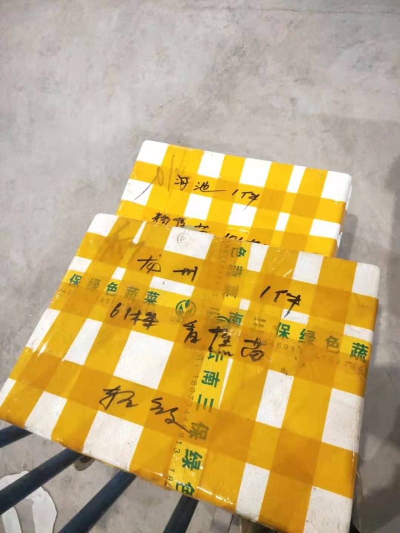 威廉斯b6香蕉苗/巴西蕉苗/南天黄香蕉苗/广东香蕉苗/