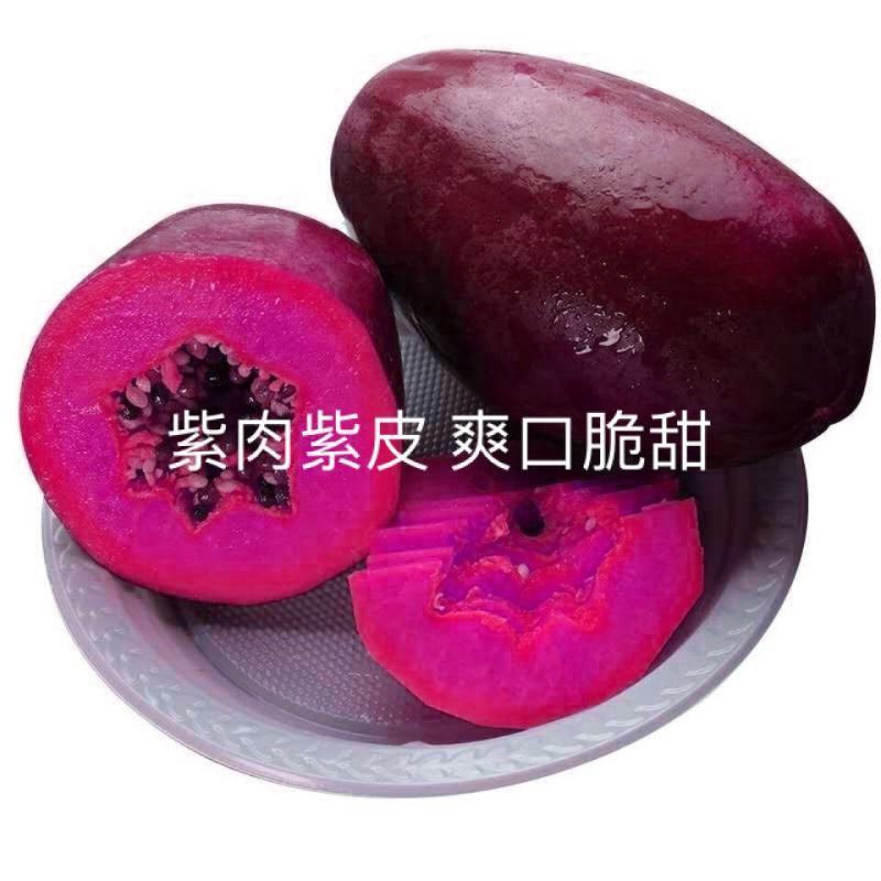 新品种巴西紫玲木瓜矮化苗种植5～6个月结果紫色木瓜培育苗