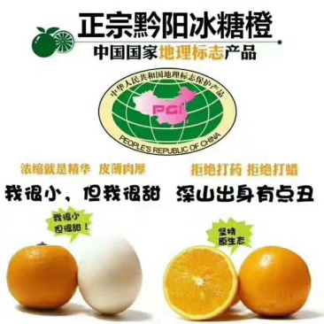 黔阳冰糖橙，冰糖橙的原产地，中国地理商标。1111111
