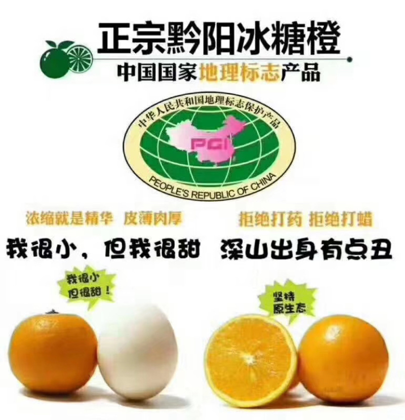 黔阳冰糖橙，冰糖橙的原产地，中国地理商标。1111111