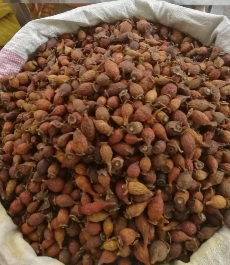 【精选】金樱子，货品新鲜，价格美丽，量大从优