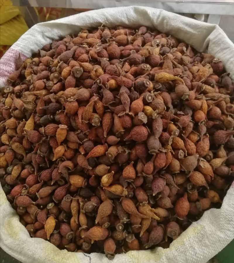 【精选】金樱子，货品新鲜，价格美丽，量大从优