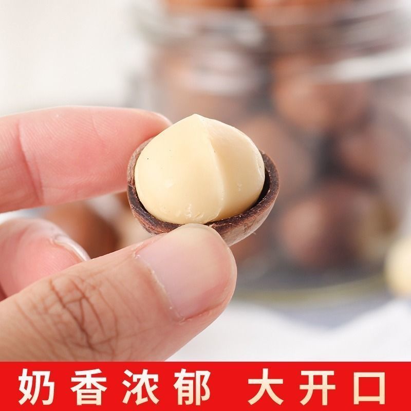 2023年厂家直销新货夏威夷果皮薄肉厚厂家直销，