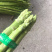 福建（云霄）自家百亩芦笋基地大量上市中。欢迎抢购。