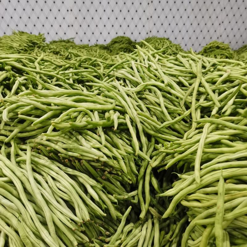 产地直供云南豆王无丝豆、架豆王、无筋豆