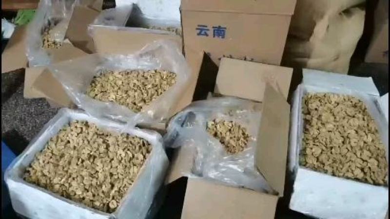 云南高山薄壳核桃手工剥壳核桃仁，皮薄仁白，不苦不涩。
