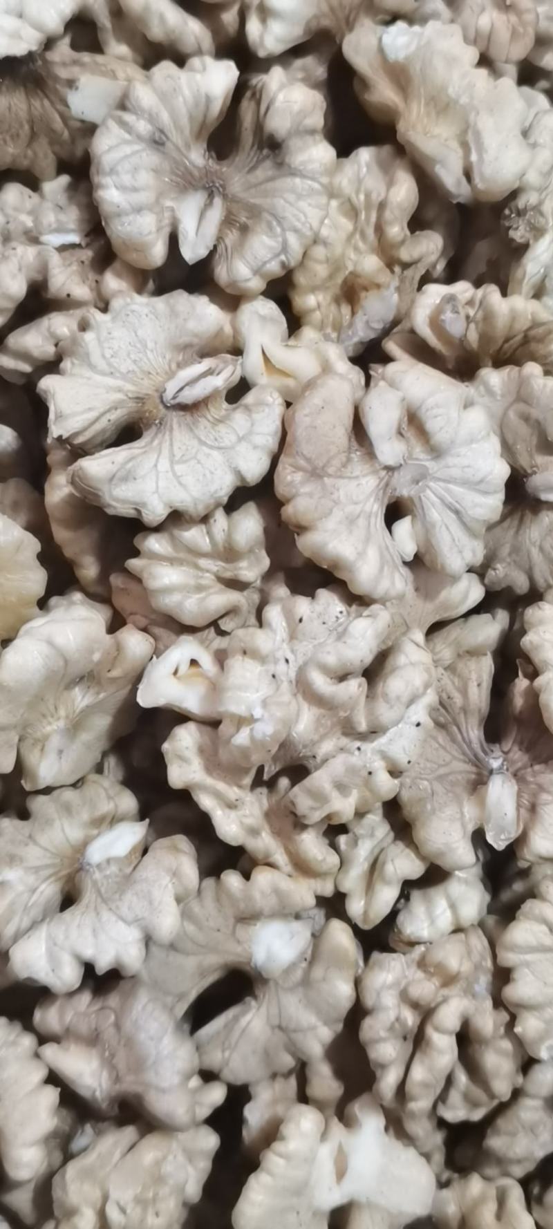 云南高山薄壳核桃手工剥壳核桃仁，皮薄仁白，不苦不涩。