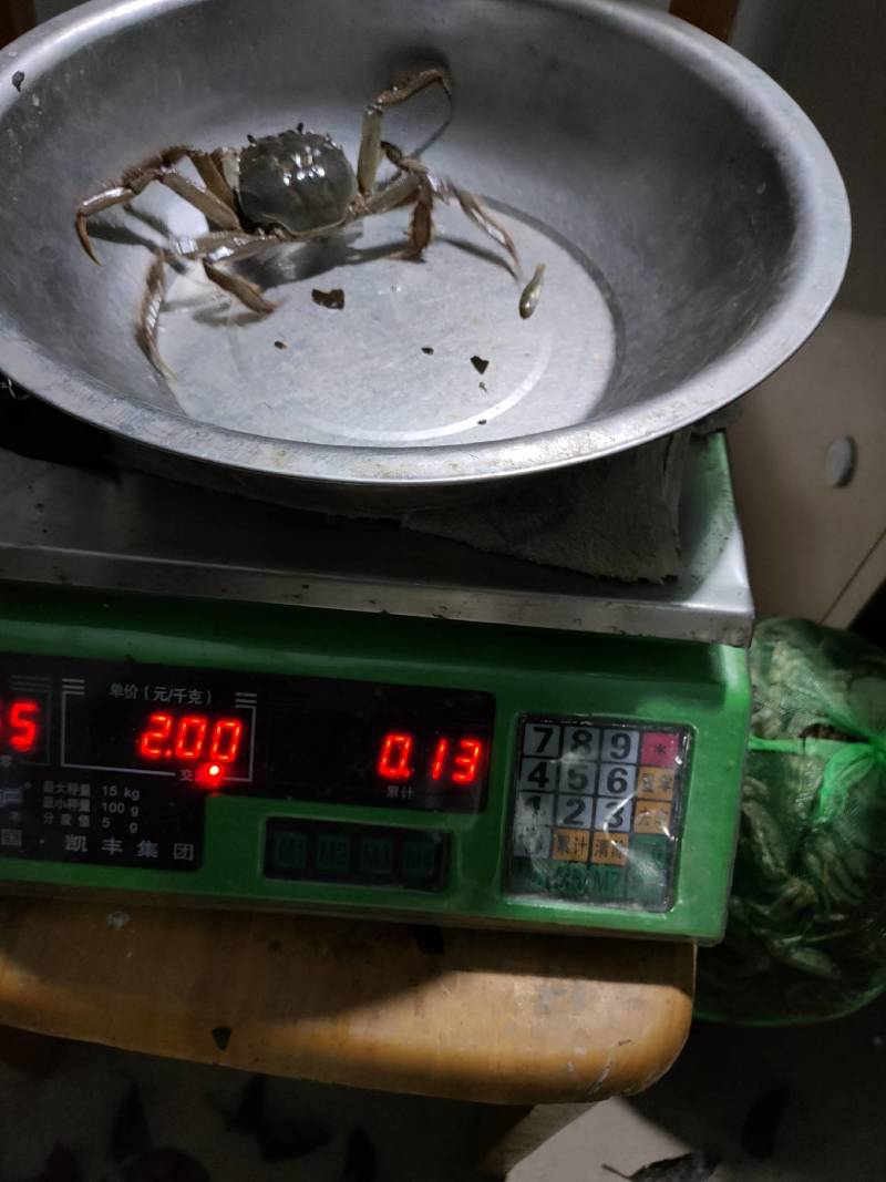 精品蟹塘、常年批发要货联系我提前订货量多的提前给我说