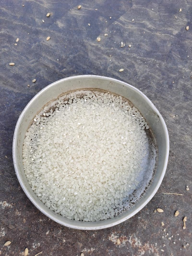 【大米】江苏优质大米、一品香大米、东北珍珠大米欢迎来咨询