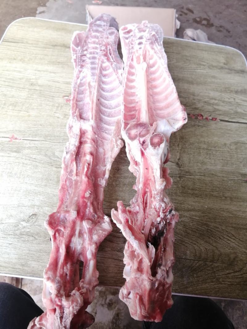 满肉羔羊蝎子羊脊骨羊脖骨可锯断肉非常多