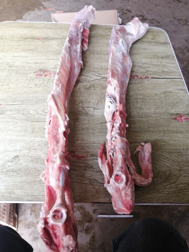 满肉羔羊蝎子羊脊骨羊脖骨可锯断肉非常多