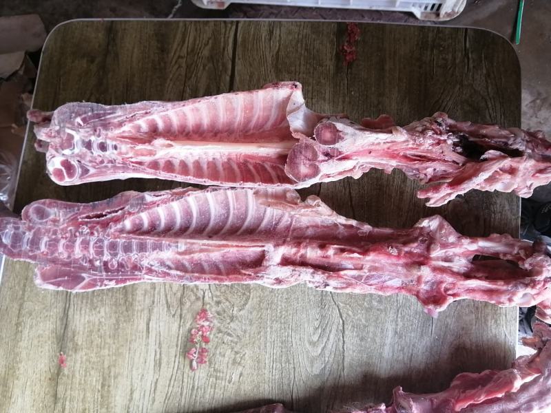 满肉羔羊蝎子羊脊骨羊脖骨可锯断肉非常多