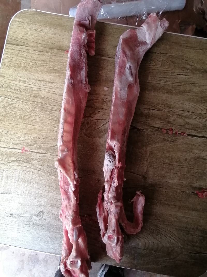 满肉羔羊蝎子羊脊骨羊脖骨可锯断肉非常多