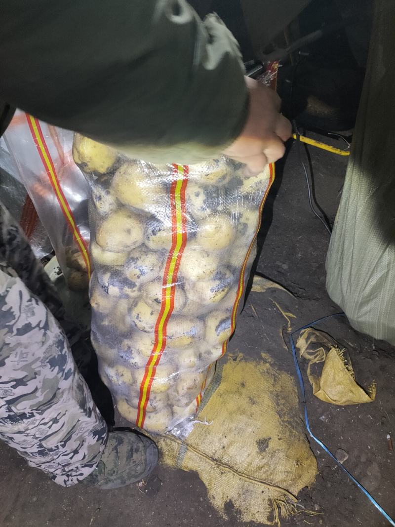 土豆干洗反包，西森，保质保量，随时下单，图片视频真实有效