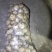 土豆干洗反包，西森，保质保量，随时下单，图片视频真实有效