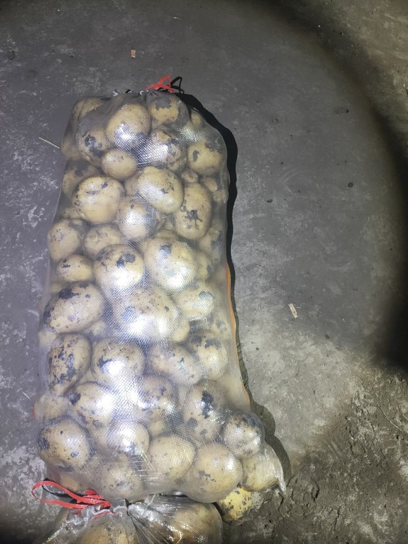 土豆干洗反包，西森，保质保量，随时下单，图片视频真实有效