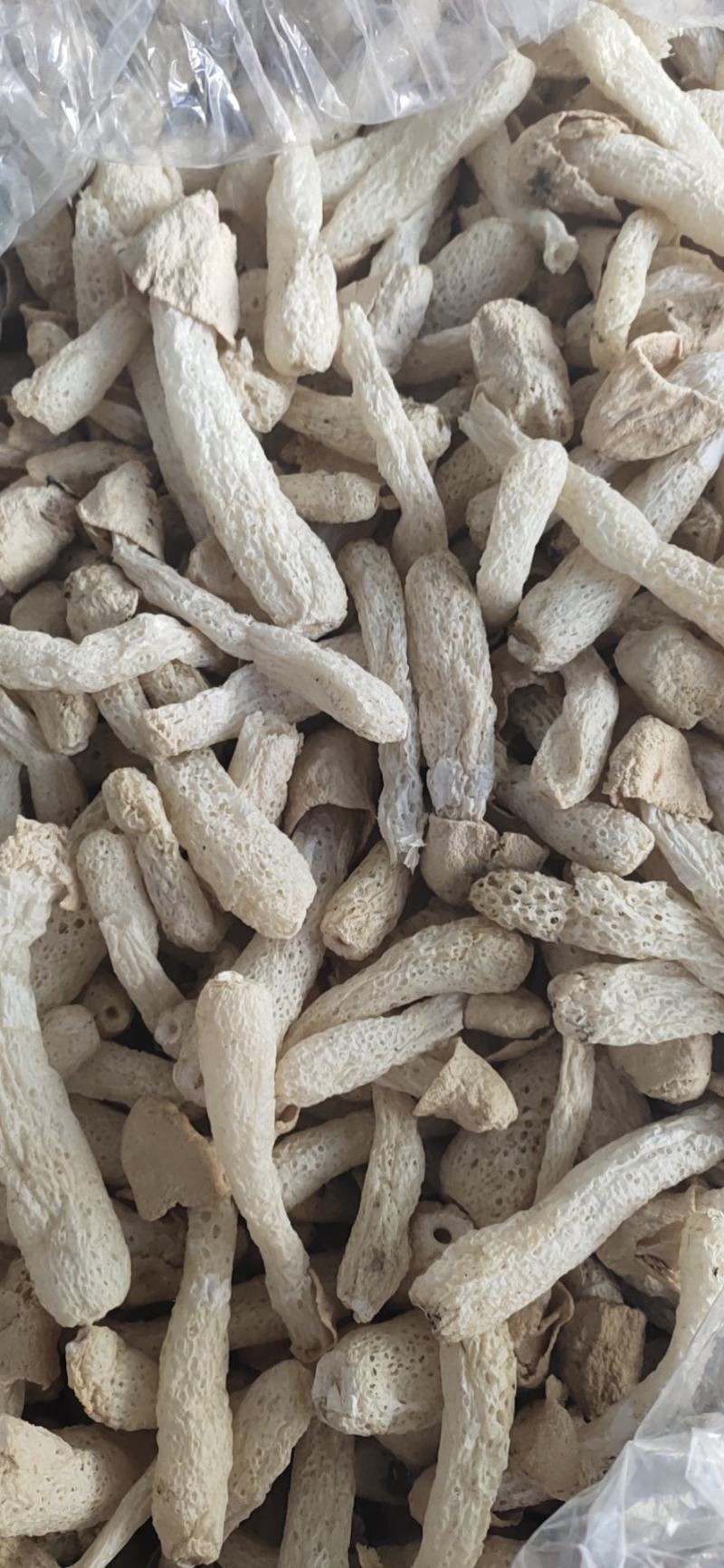 产地直发竹荪干货2021年新货无硫竹荪一手货源保质保量