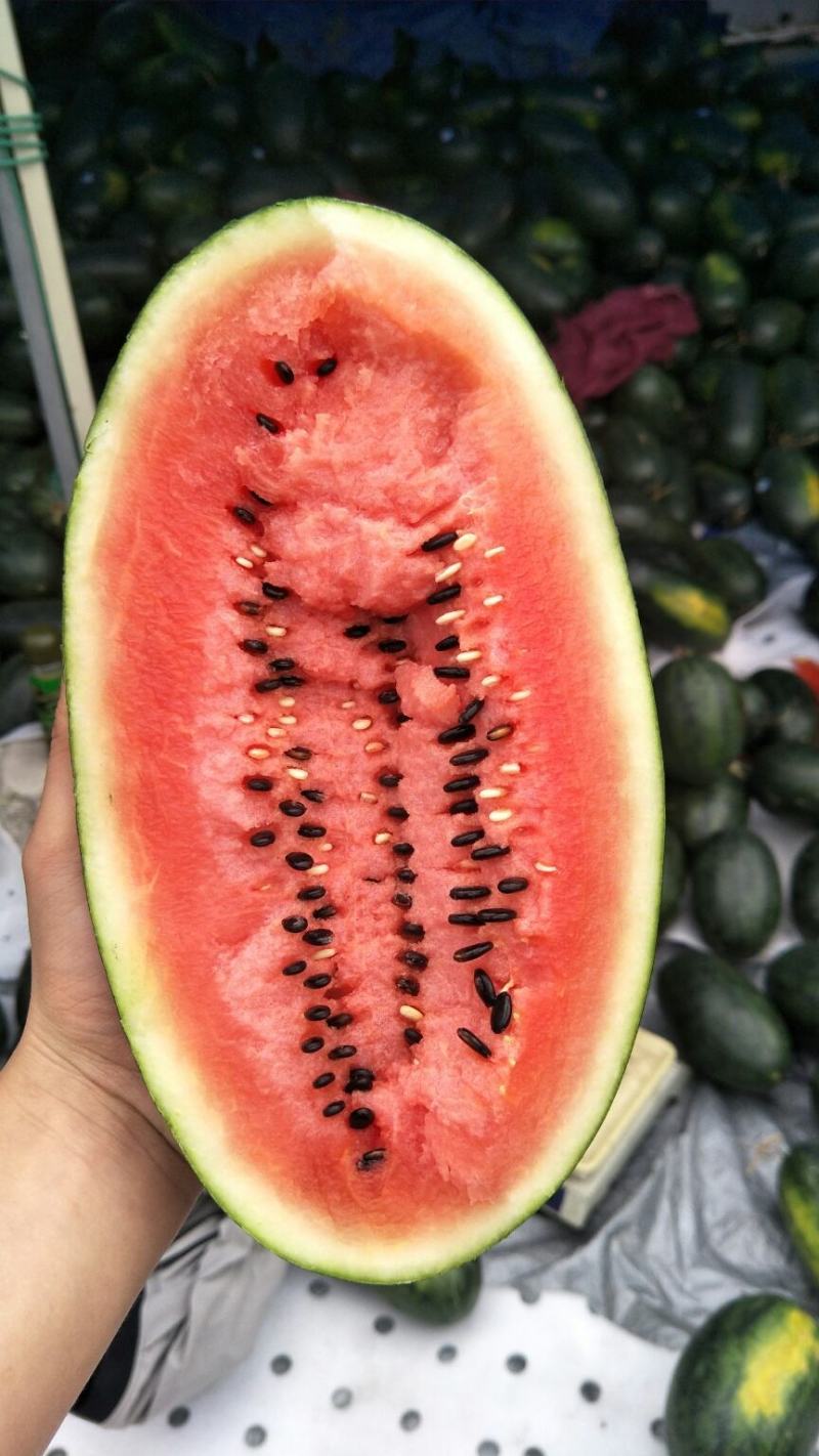 越南进口黑美人西瓜，批发，一件代发欢迎咨询