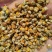 纯颗粒无杂野生菊花药用泡茶量大优惠欢迎惠顾