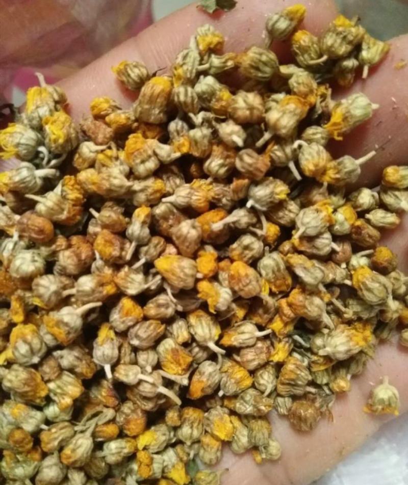 纯颗粒无杂野生菊花药用泡茶量大优惠欢迎惠顾
