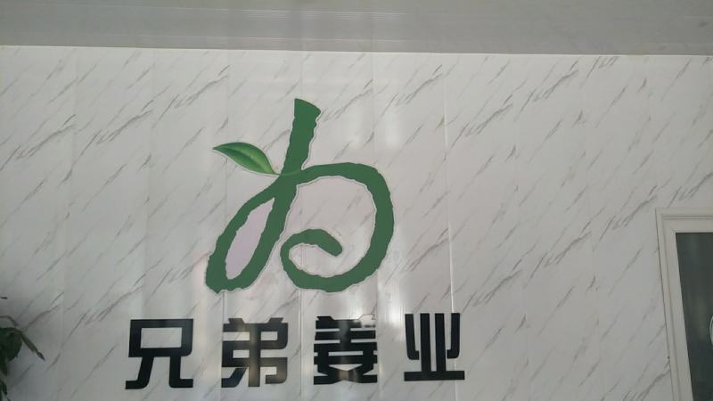2025年石家庄圆头姜大量上市。