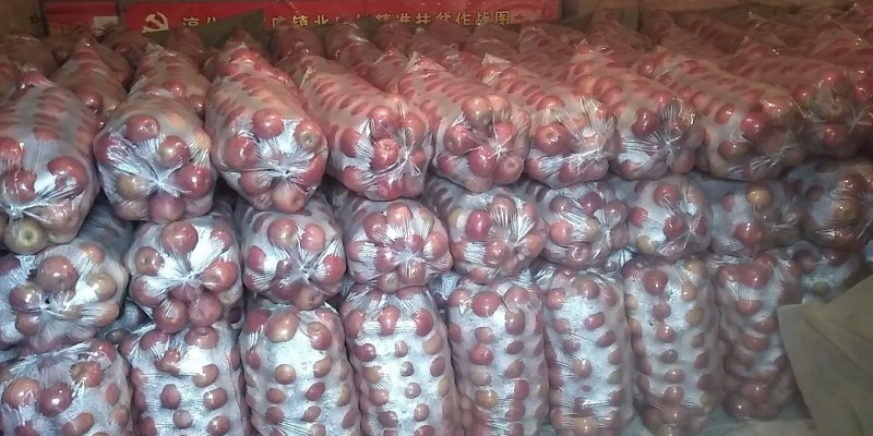 陕西淳化产区纸袋富士高苹果大量出售，价格优惠，品质保证，