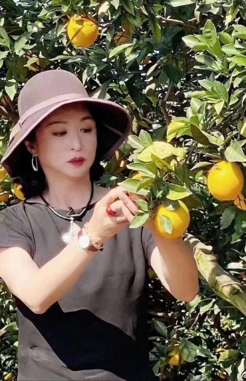 世界橙乡客家摇篮（正宗赣南脐橙）假一赔十
