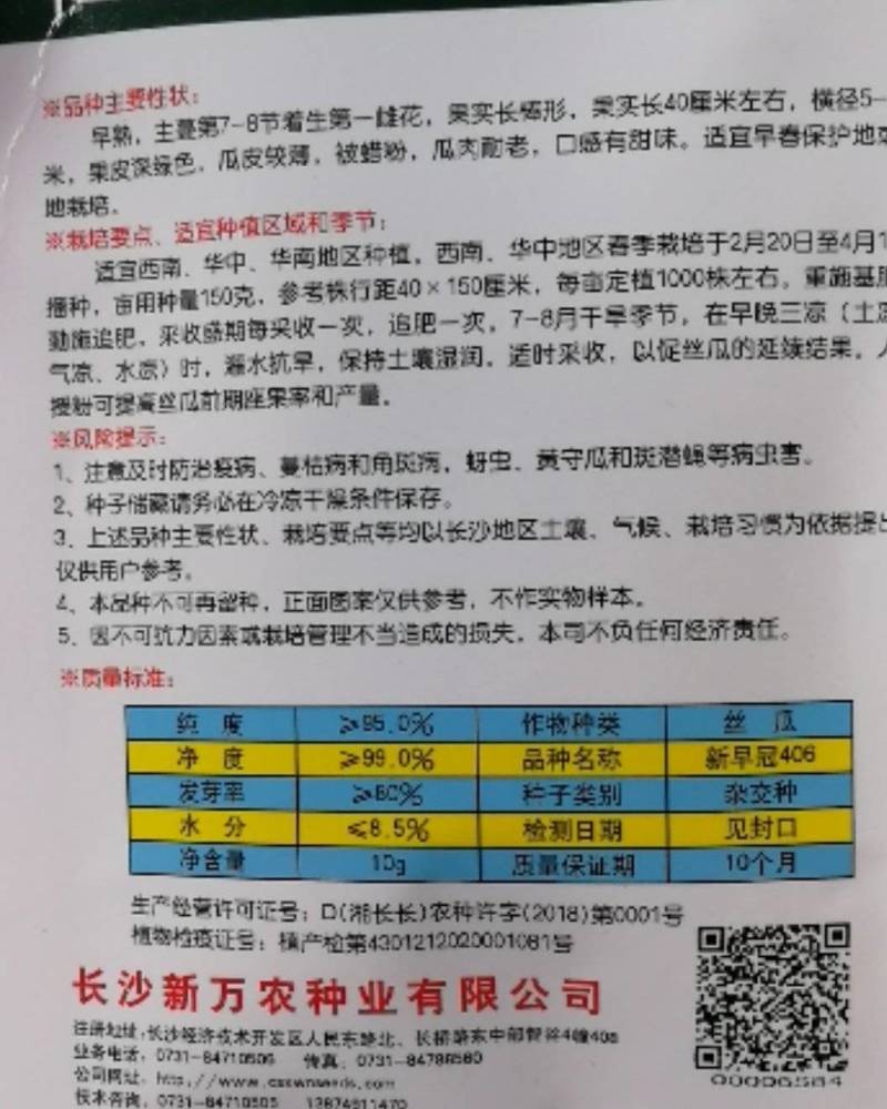 新早冠406丝瓜早熟果实长棒形果皮深绿色瓜皮较簿耐老口感