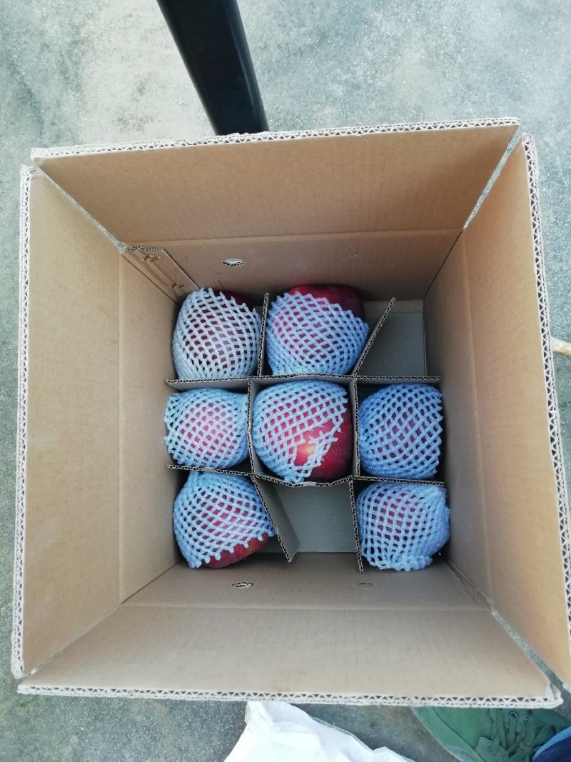 花牛75mm以上光果，10斤装，包邮。